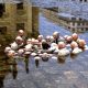 Isaac-Cordal-1-e1531342607860